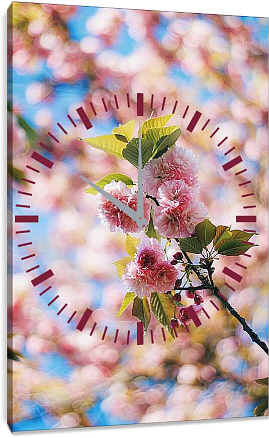 Часы картина - Сакура цветет