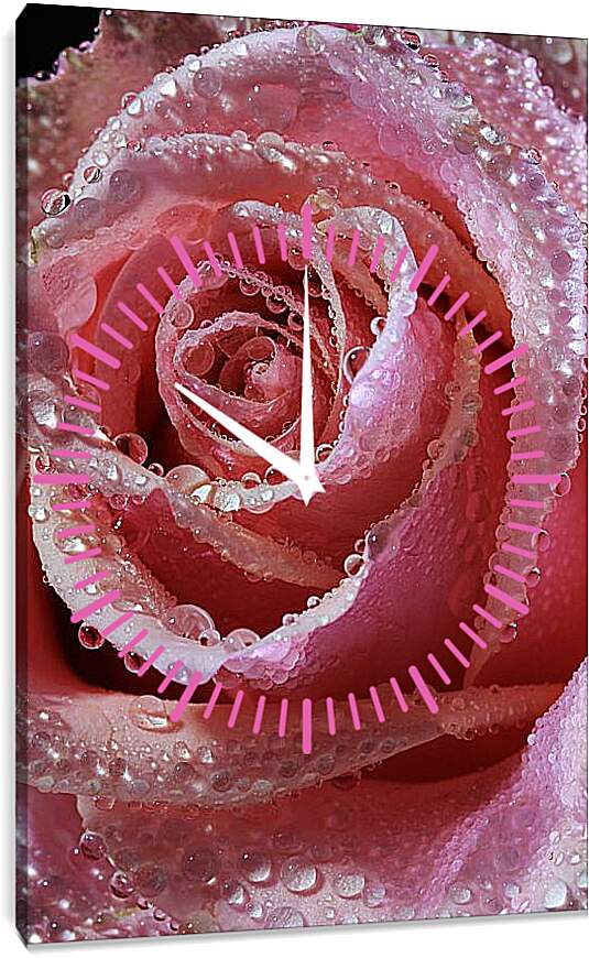 Часы картина - Роза в капельках воды