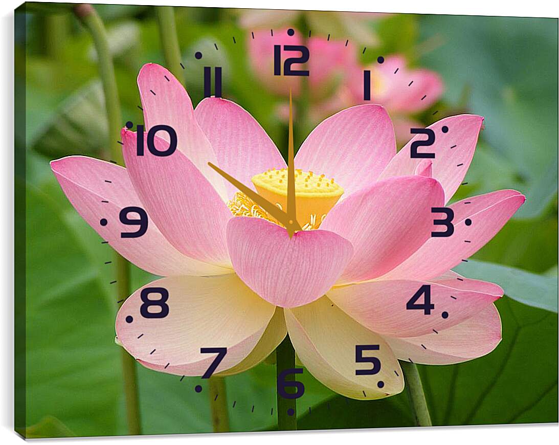 Часы картина - Розовый лотос