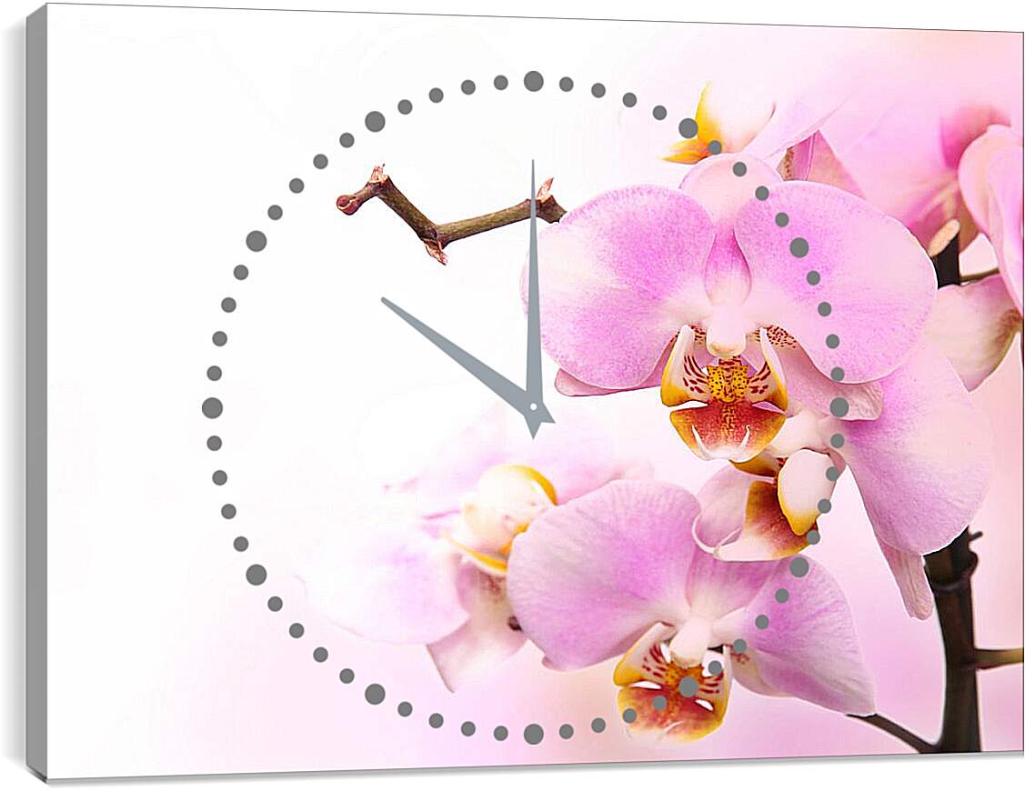 Часы картина - Нежная орхидея