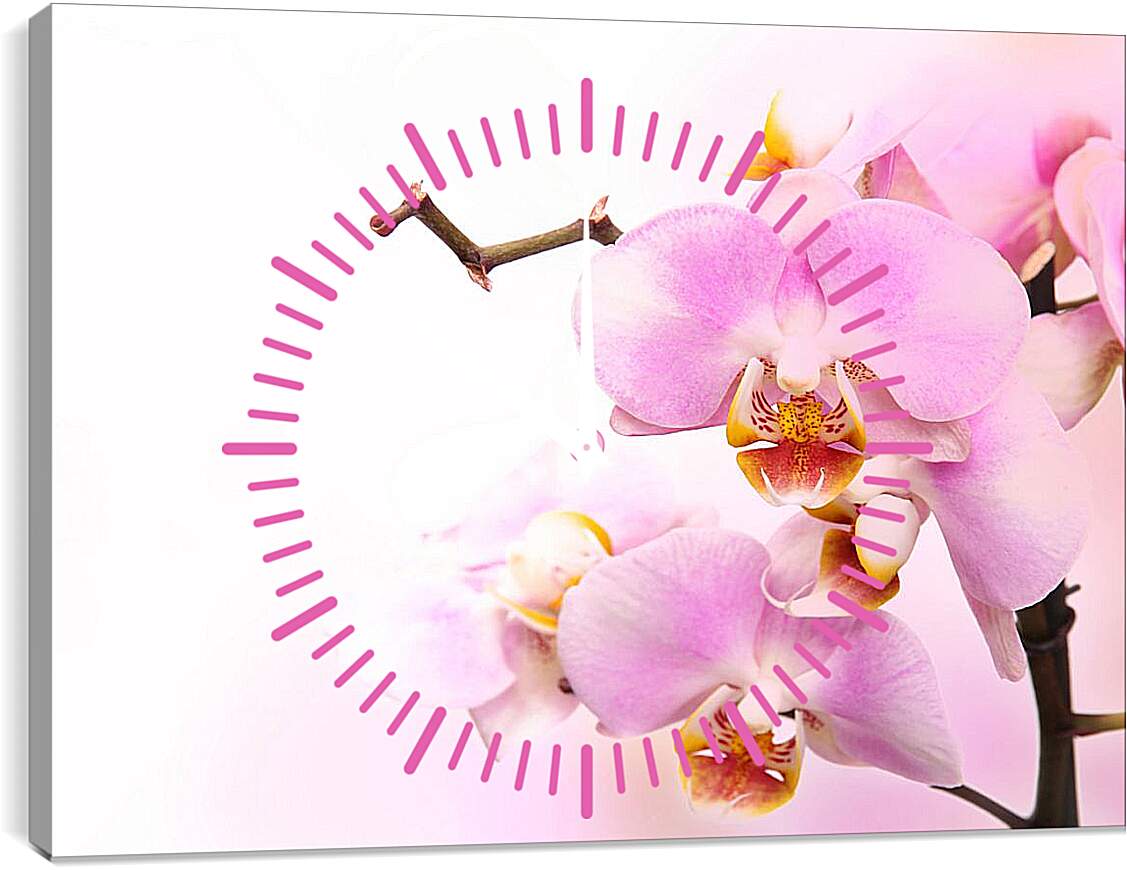 Часы картина - Нежная орхидея