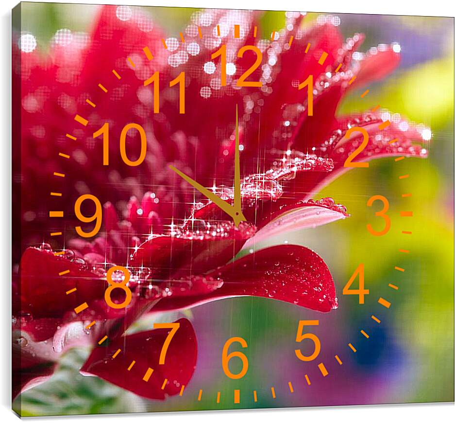 Часы картина - Очень красивый красный цветок