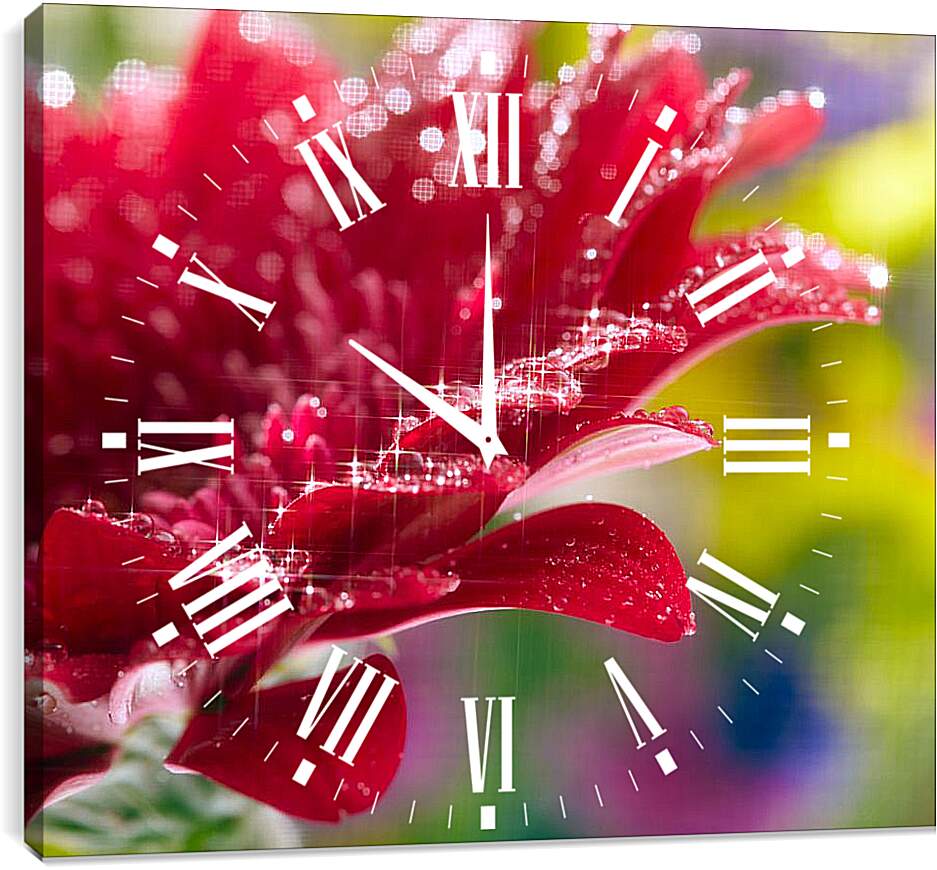 Часы картина - Очень красивый красный цветок