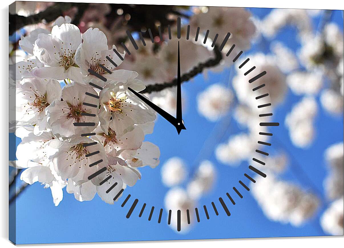 Часы картина - Цветы яблони