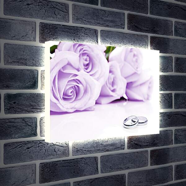 Лайтбокс световая панель - Свадебные розы