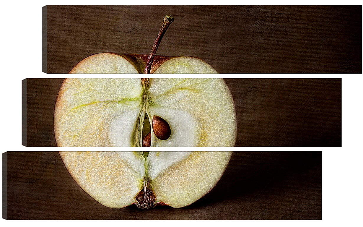 Модульная картина - Яблоко с косточками