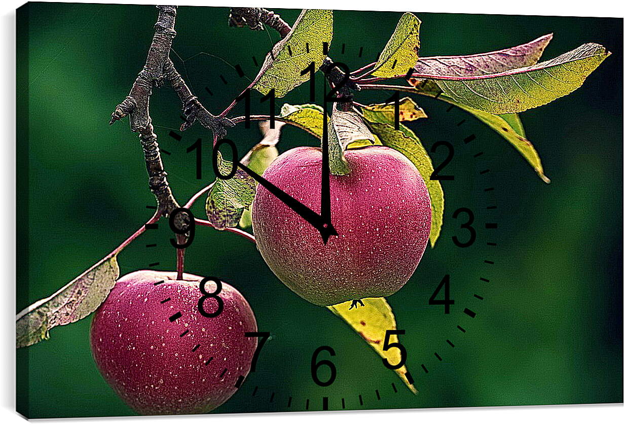 Часы картина - Яблоки на ветке