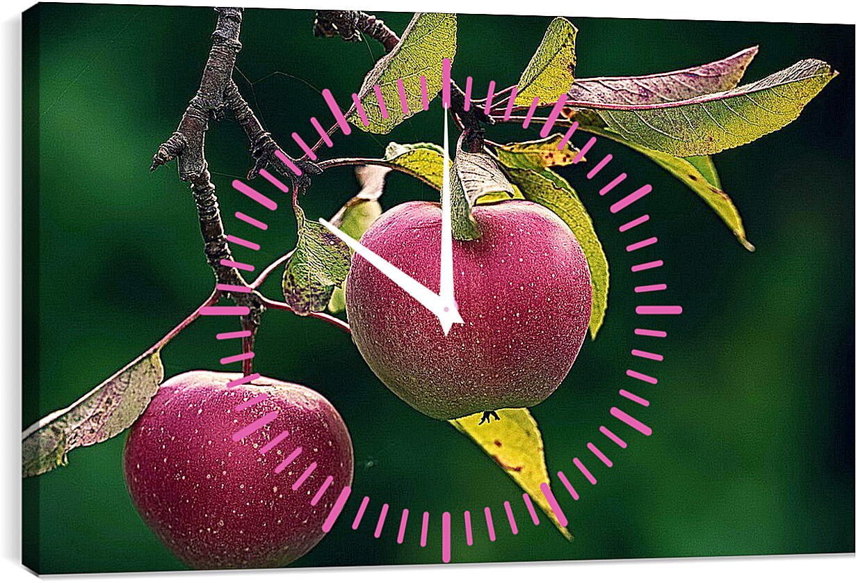 Часы картина - Яблоки на ветке