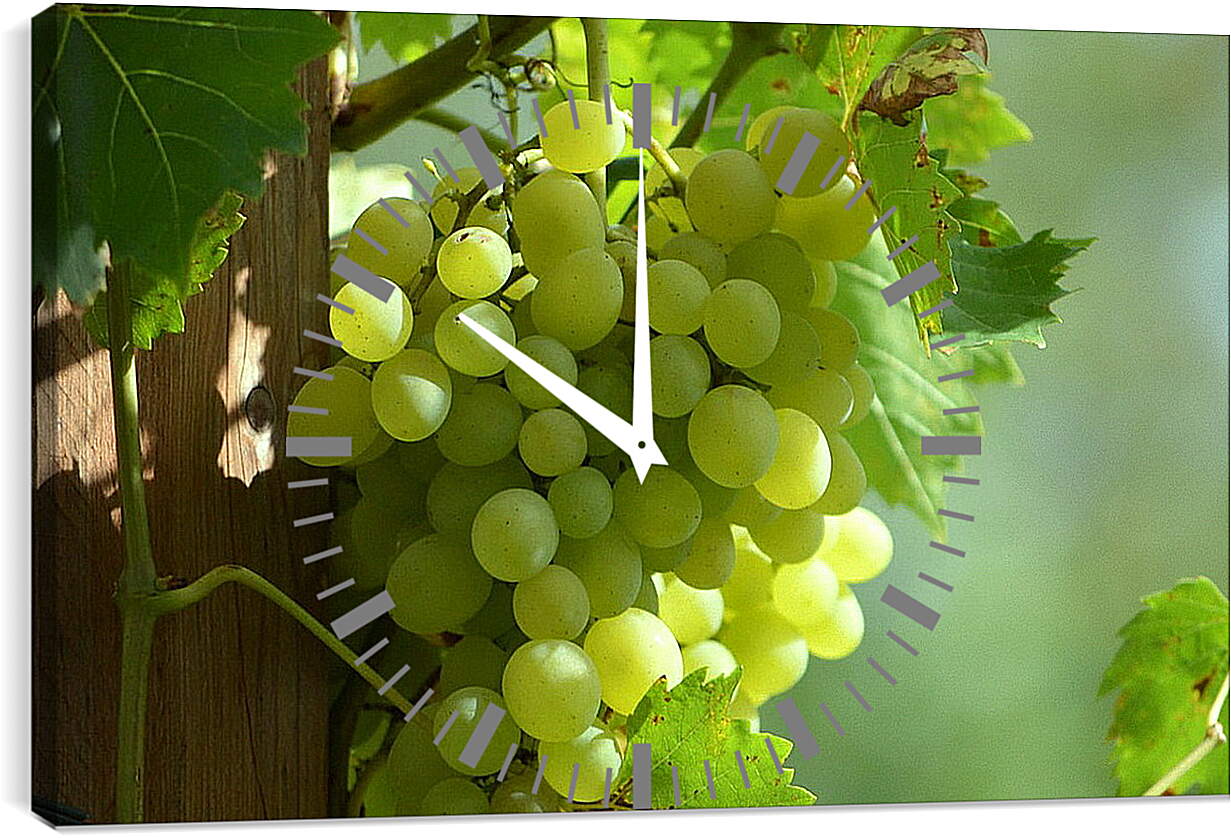 Часы картина - Виноградная гроздь