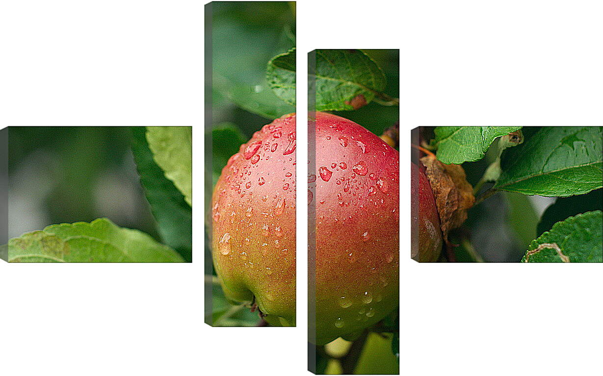 Модульная картина - Наливное яблоко