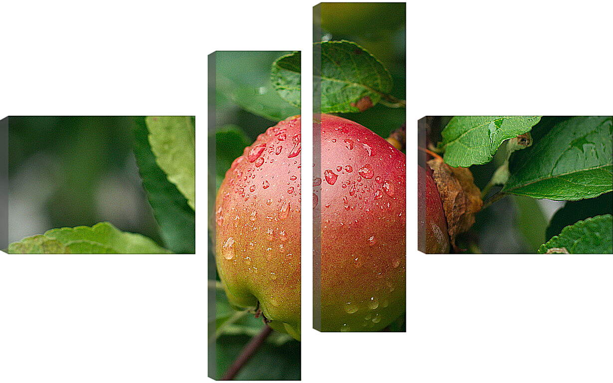 Модульная картина - Наливное яблоко