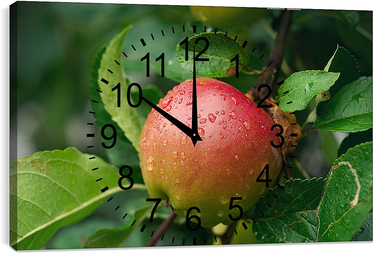 Часы картина - Наливное яблоко