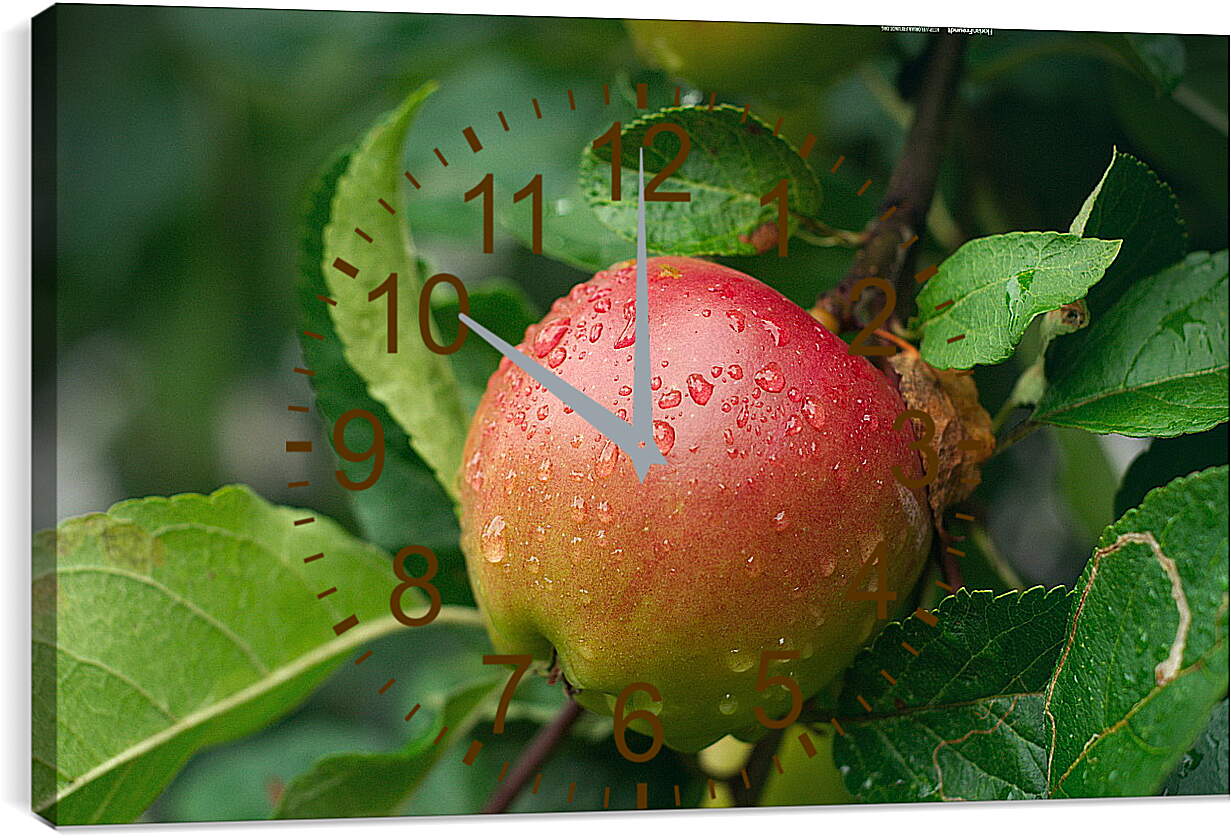 Часы картина - Наливное яблоко