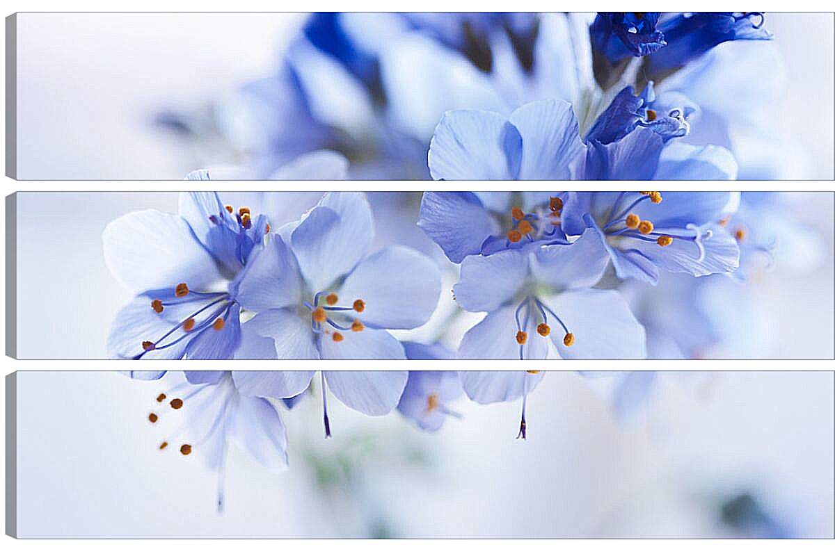 Модульная картина - Голубые цветы
