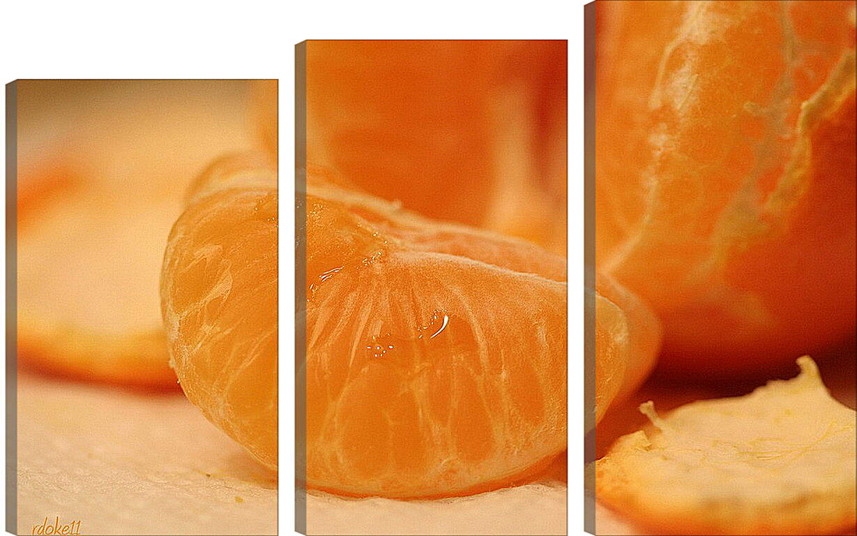 Модульная картина - Долька мандарина