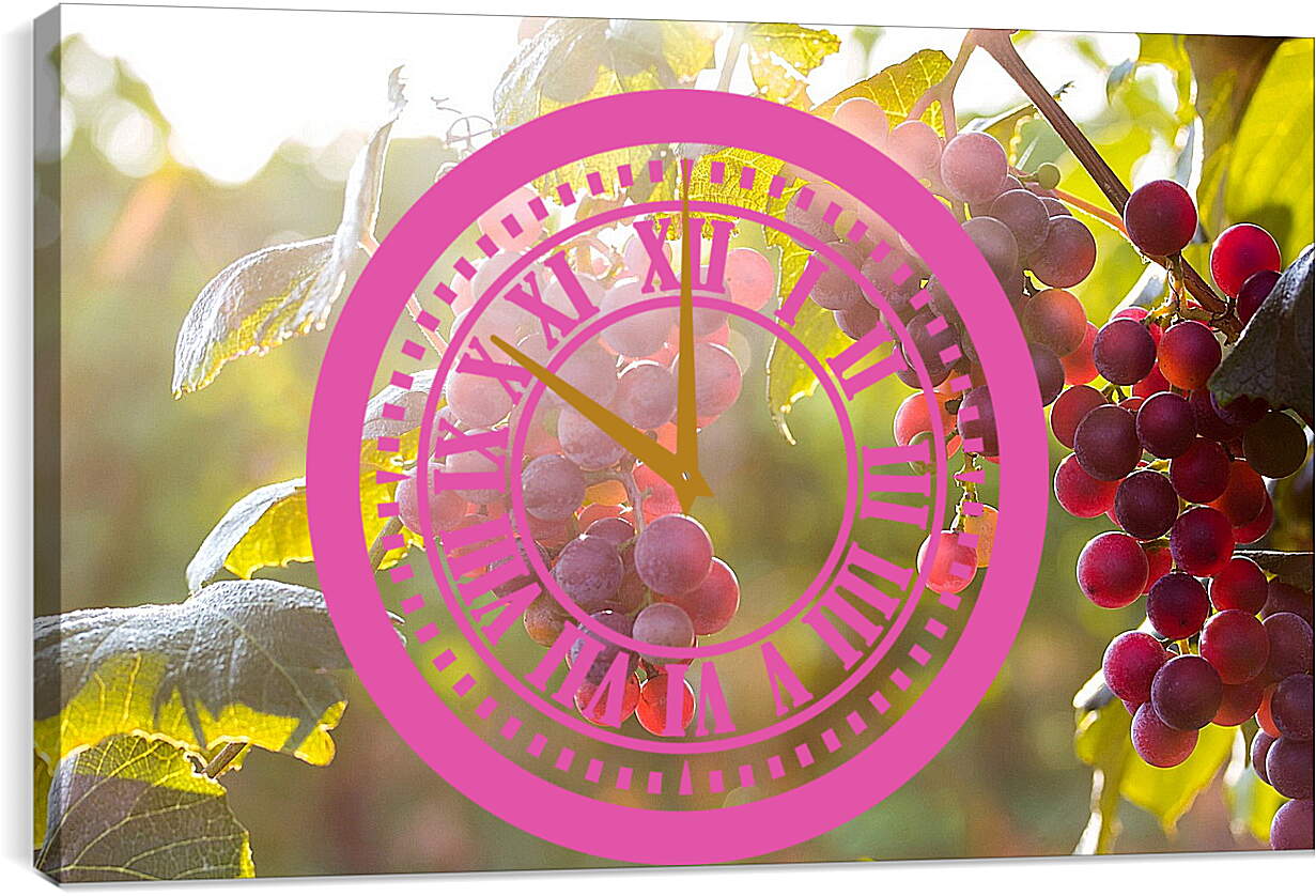 Часы картина - Гроздья винограда в солнечных лучах