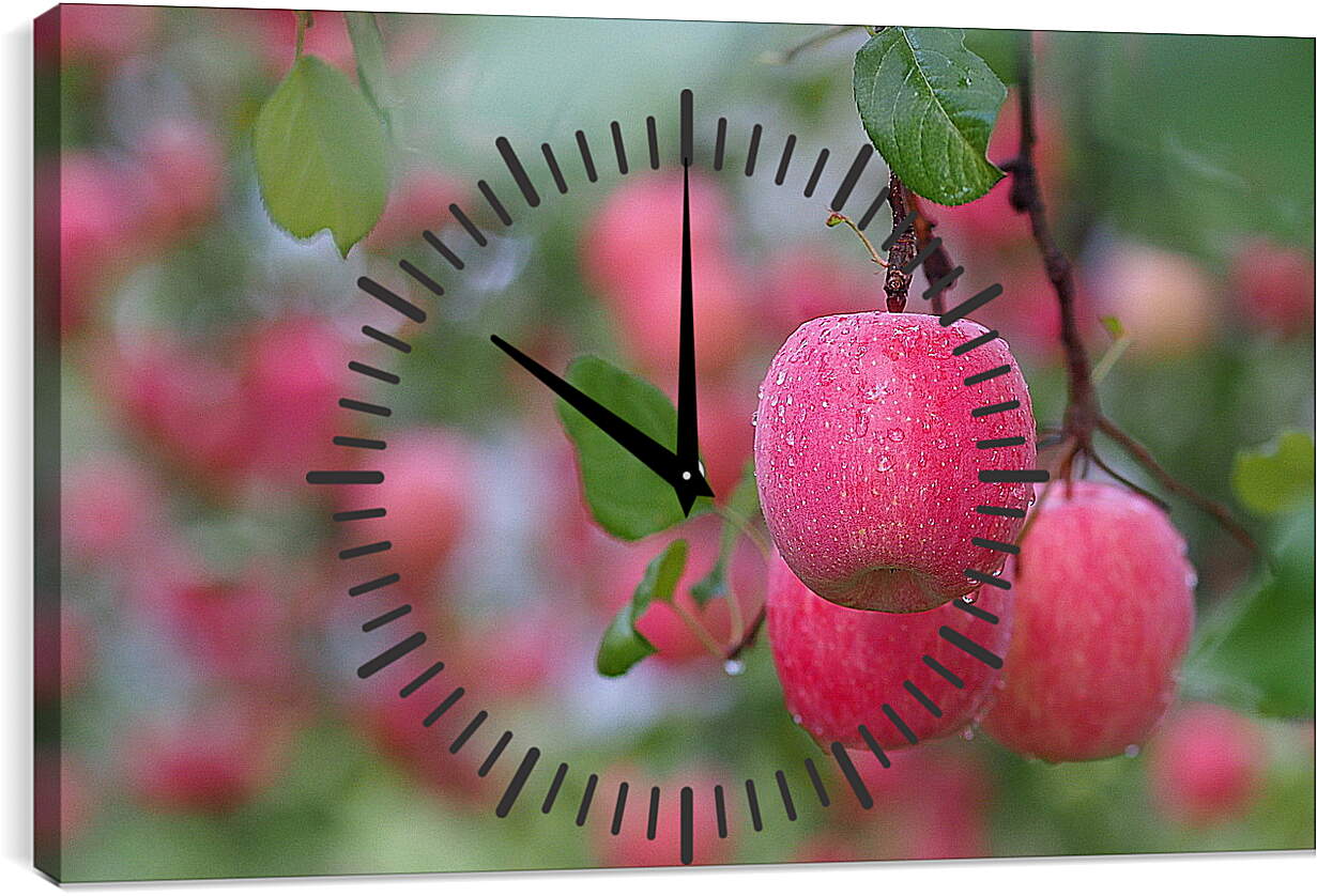 Часы картина - Красные яблоки на ветвях