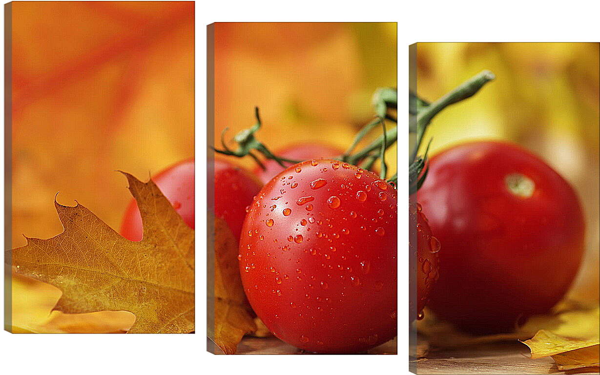 Модульная картина - Четыре помидора и осенние листья на столе