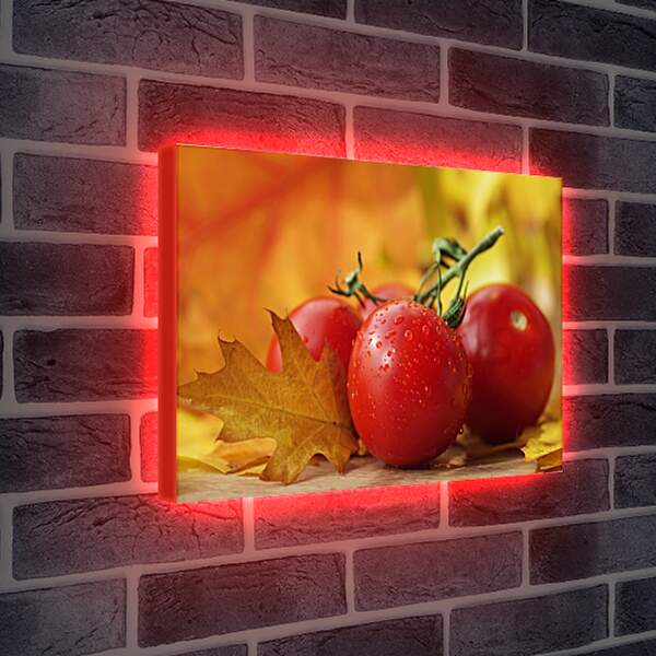Лайтбокс световая панель - Четыре помидора и осенние листья на столе