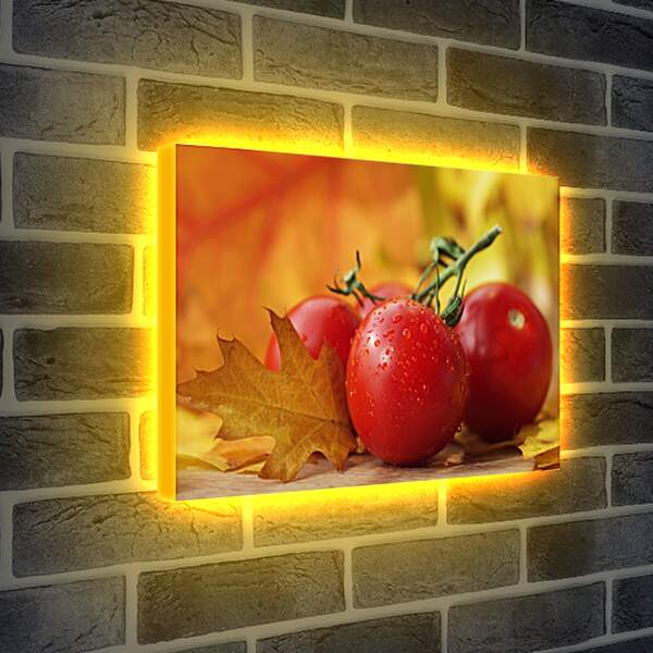 Лайтбокс световая панель - Четыре помидора и осенние листья на столе