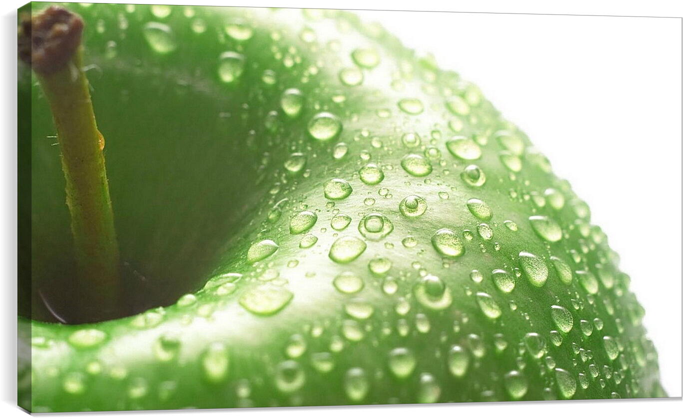 Постер и плакат - Капли воды на зелёном яблоке
