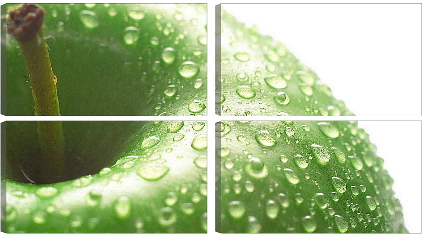 Модульная картина - Капли воды на зелёном яблоке