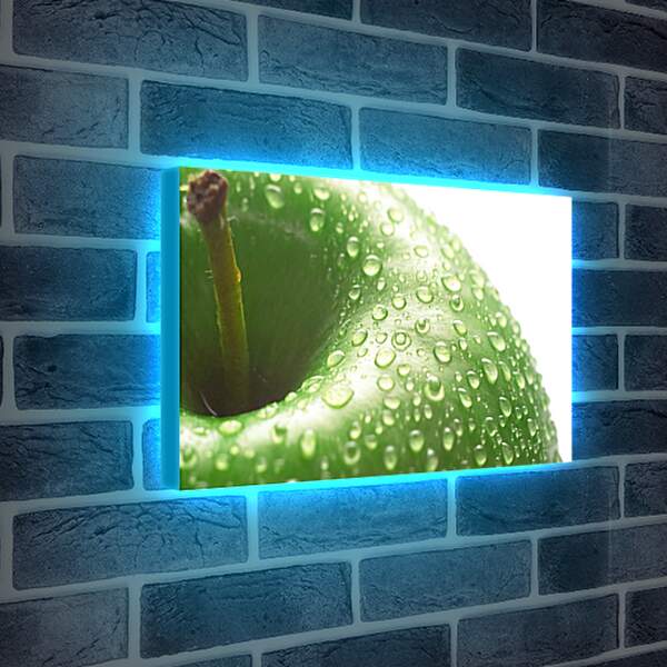 Лайтбокс световая панель - Капли воды на зелёном яблоке