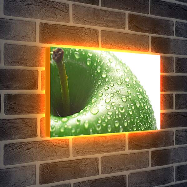 Лайтбокс световая панель - Капли воды на зелёном яблоке