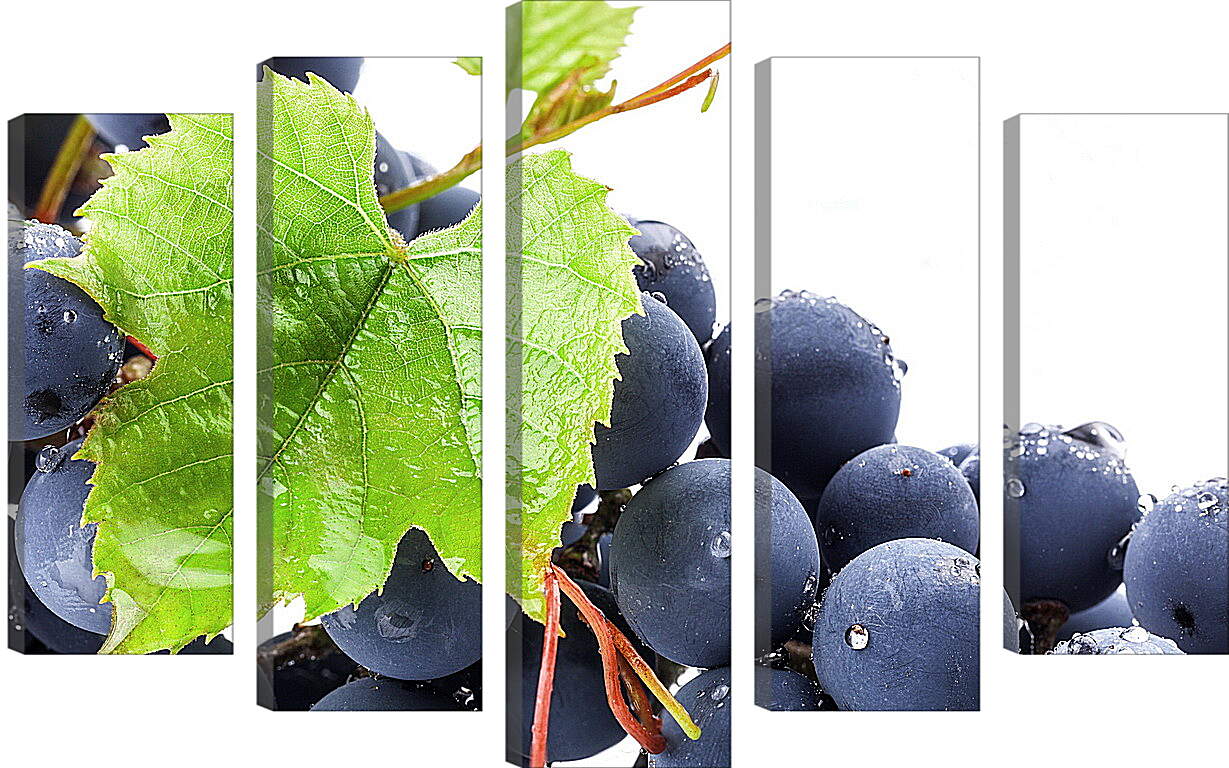Модульная картина - Виноградный лист и виноград