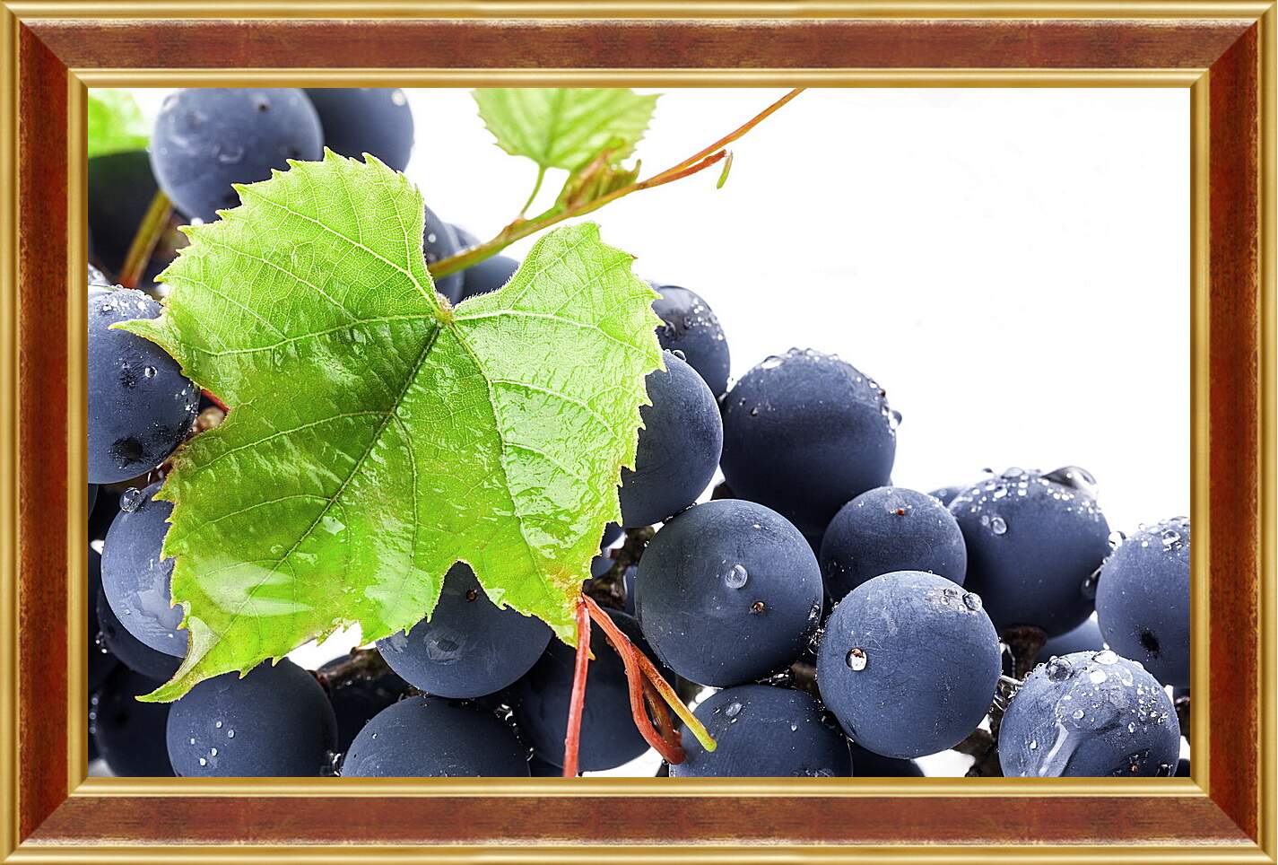 Картина в раме - Виноградный лист и виноград