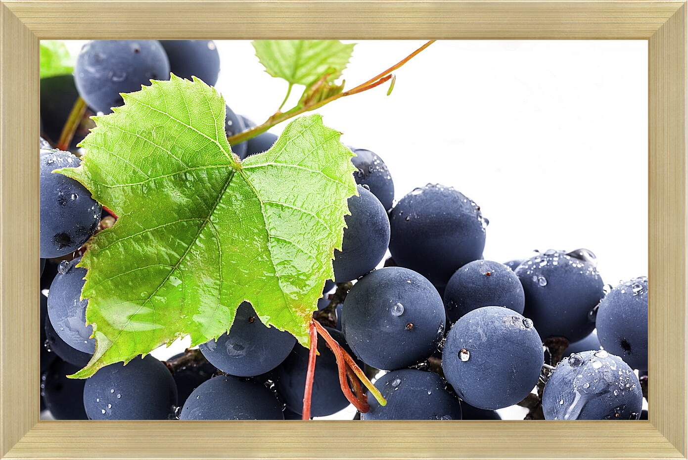 Картина в раме - Виноградный лист и виноград