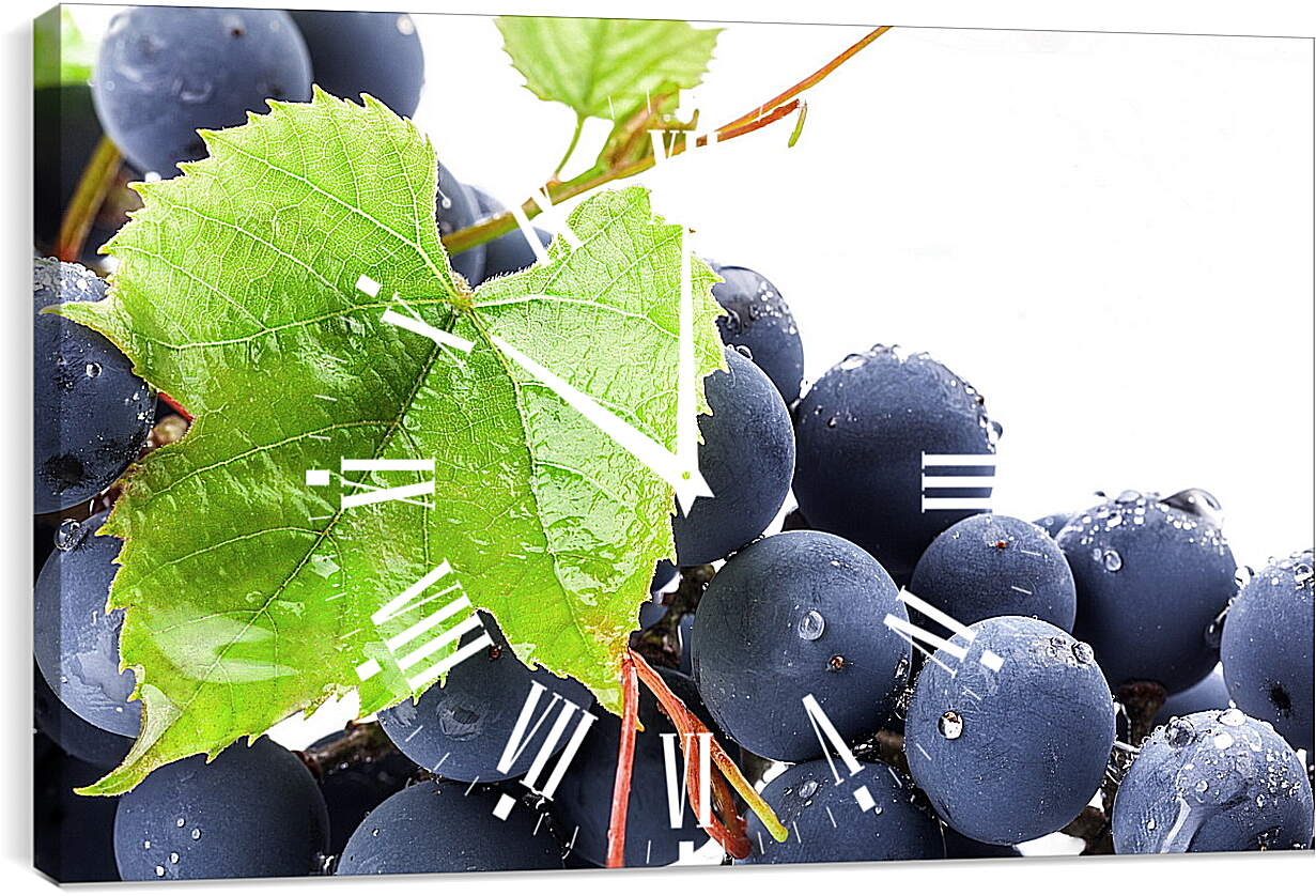 Часы картина - Виноградный лист и виноград
