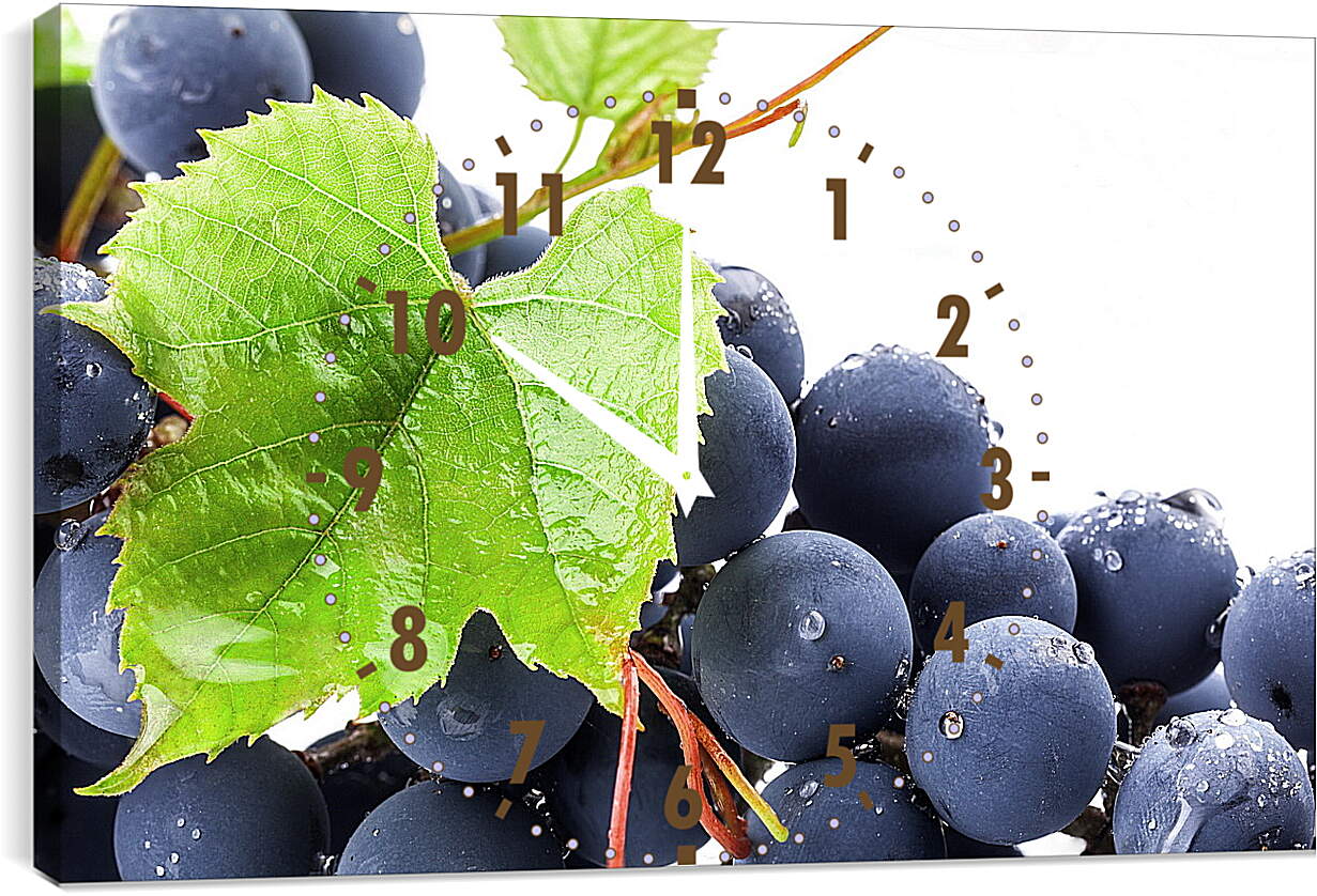Часы картина - Виноградный лист и виноград