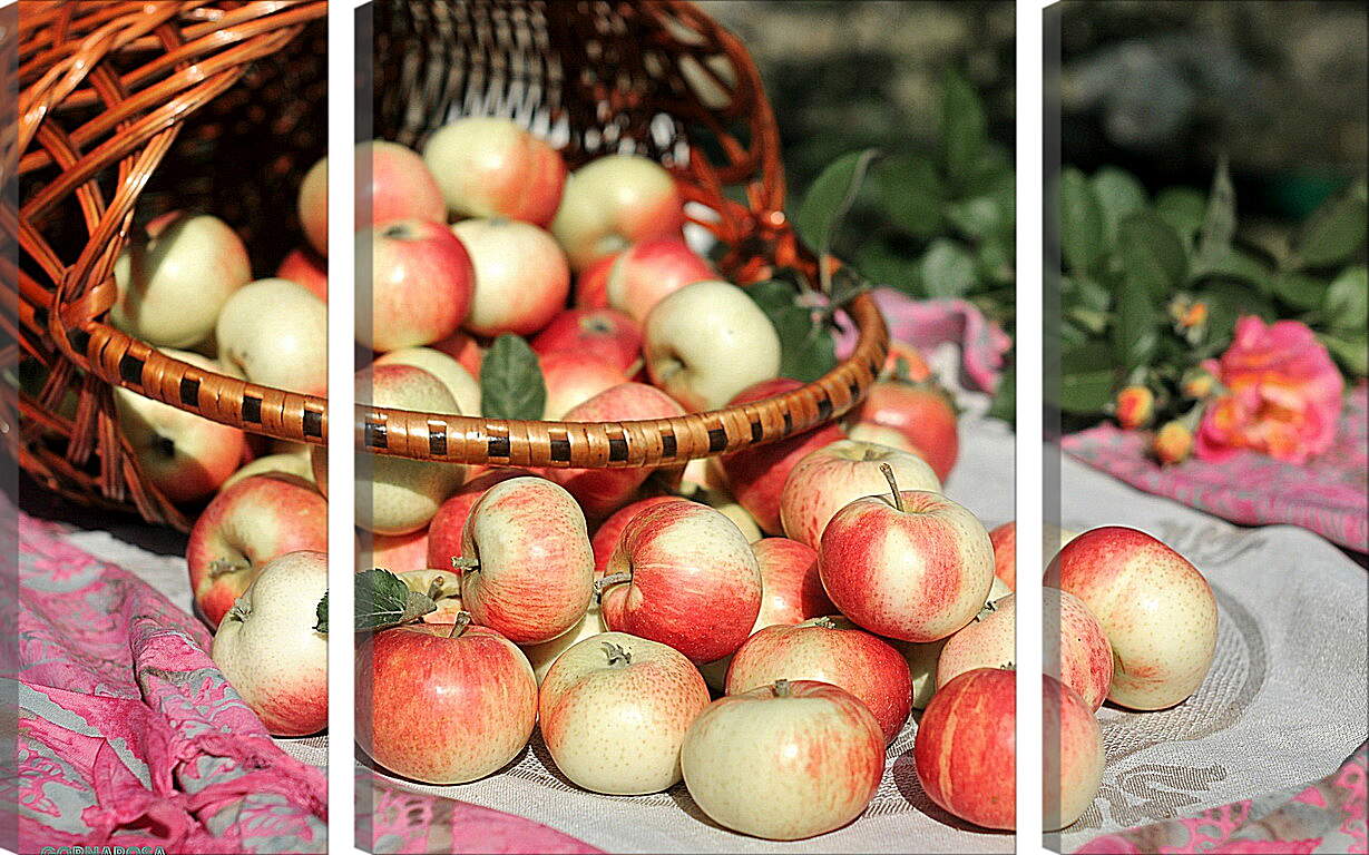 Модульная картина - Рассыпанные яблоки из корзины