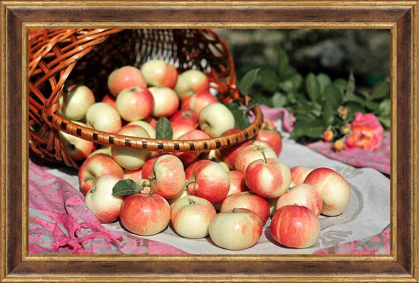 Картина в раме - Рассыпанные яблоки из корзины