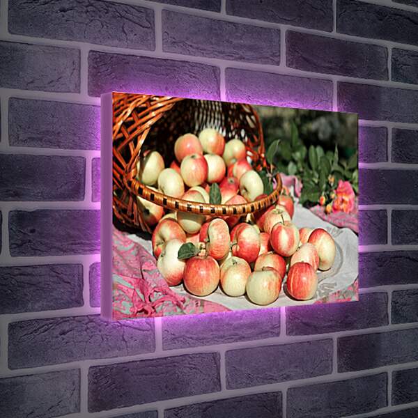 Лайтбокс световая панель - Рассыпанные яблоки из корзины
