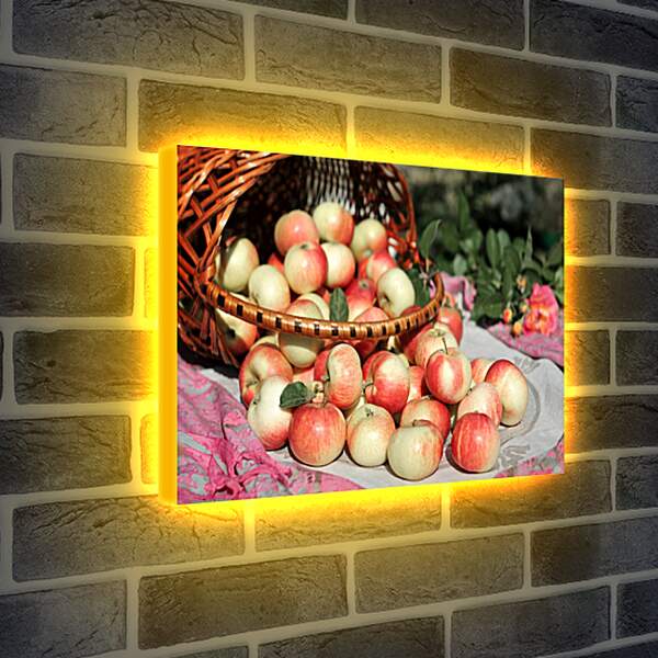 Лайтбокс световая панель - Рассыпанные яблоки из корзины