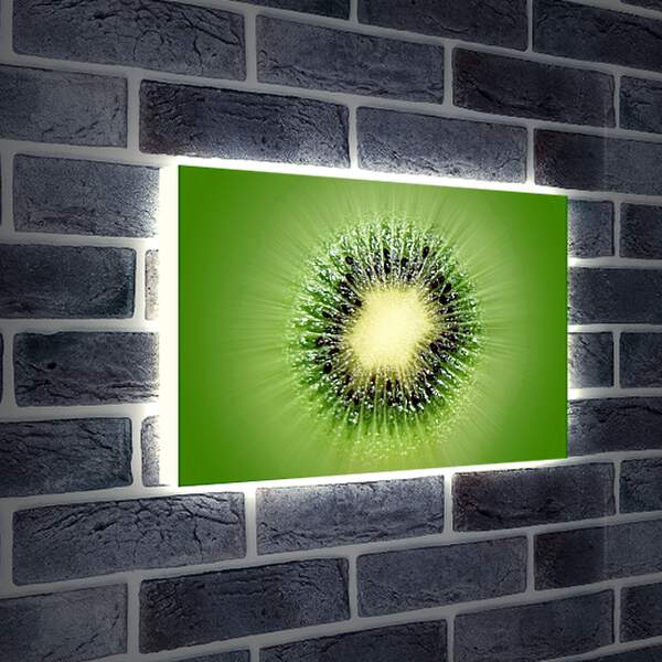 Лайтбокс световая панель - Киви и его чёрные семена