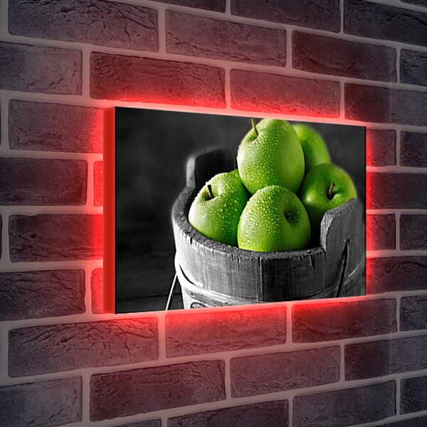 Лайтбокс световая панель - Полное ведро зелёных яблок