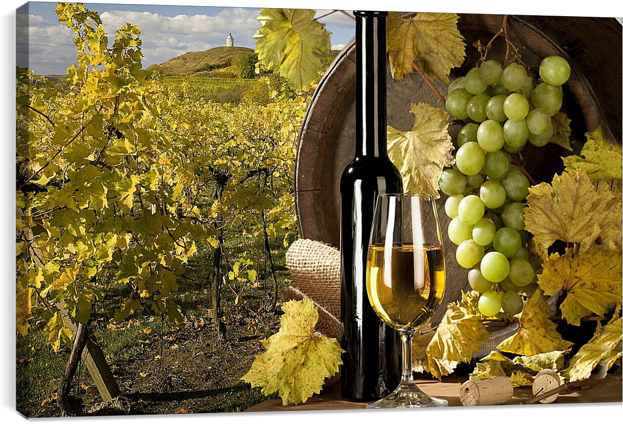 Постер и плакат - Виноградник, бокал и бутылка вина