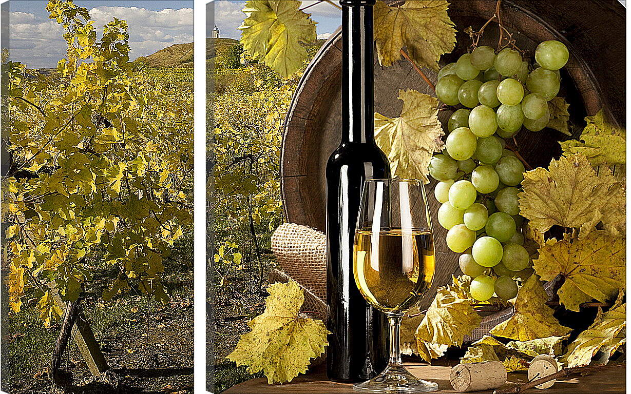Модульная картина - Виноградник, бокал и бутылка вина