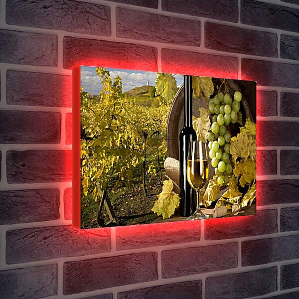 Лайтбокс световая панель - Виноградник, бокал и бутылка вина