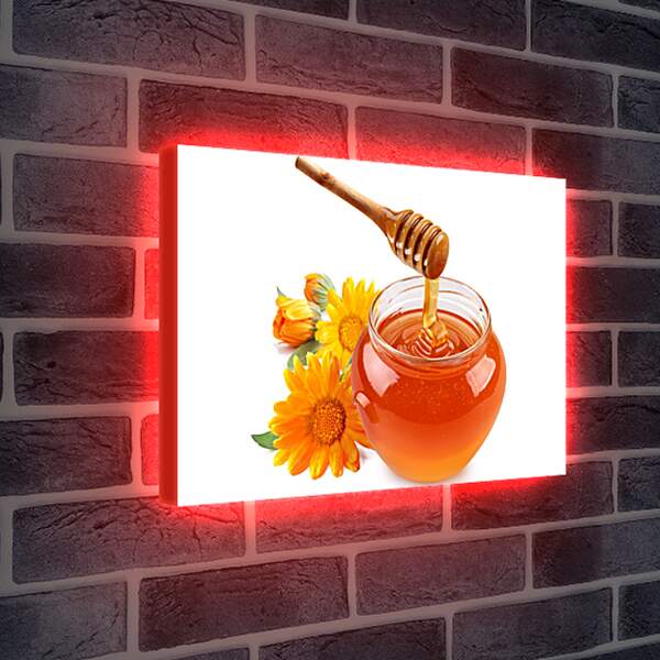Лайтбокс световая панель - Веретено и баночка мёда