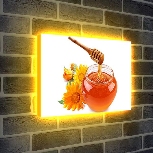 Лайтбокс световая панель - Веретено и баночка мёда