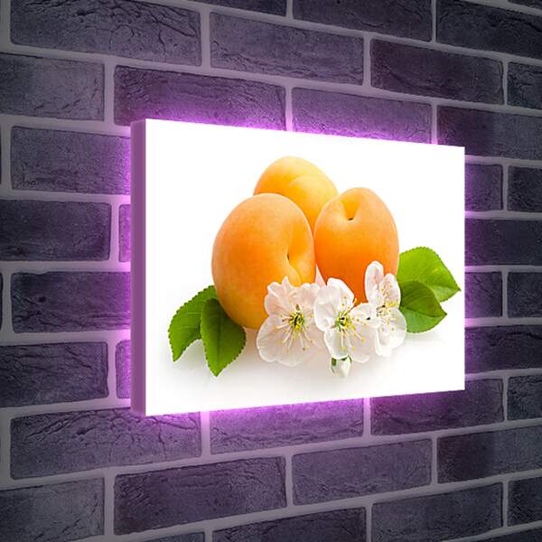 Лайтбокс световая панель - Персики на белом фоне