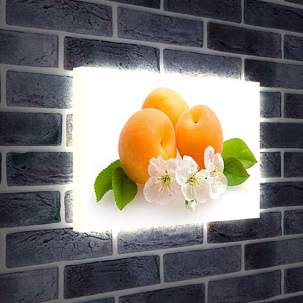 Лайтбокс световая панель - Персики на белом фоне