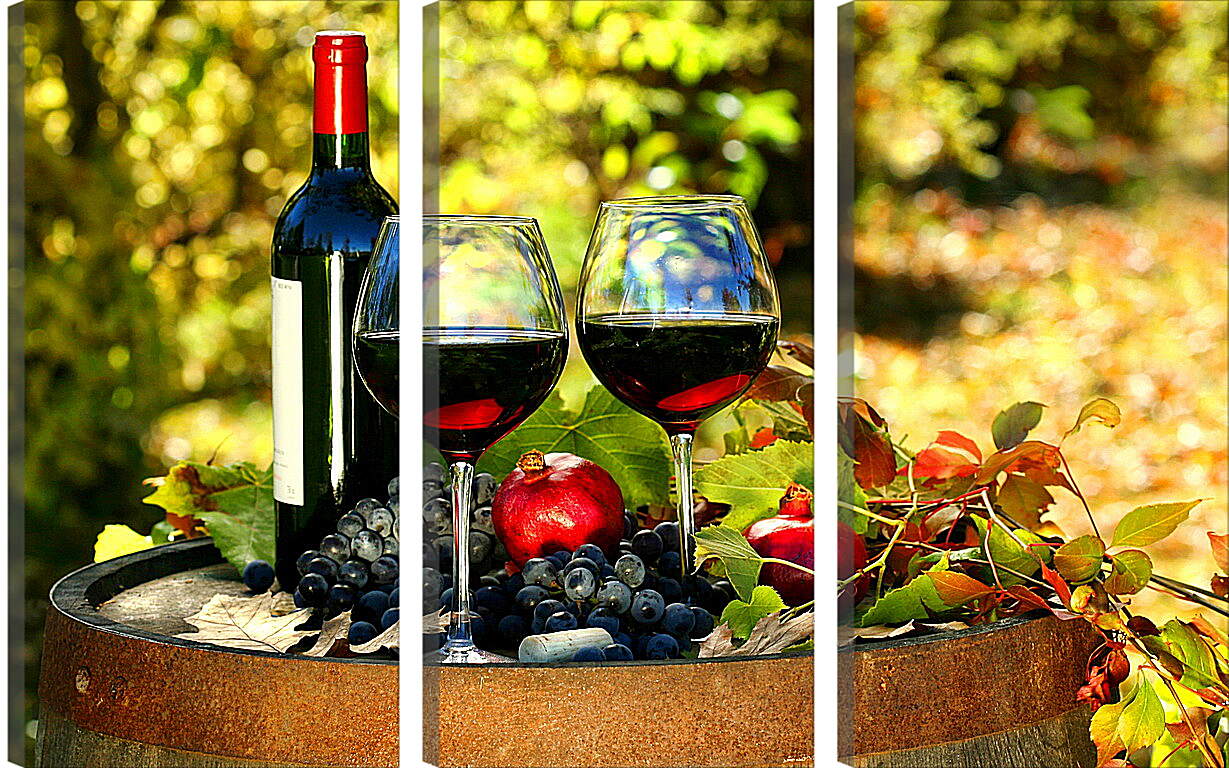 Модульная картина - Бутылка и два бокала вина на природе