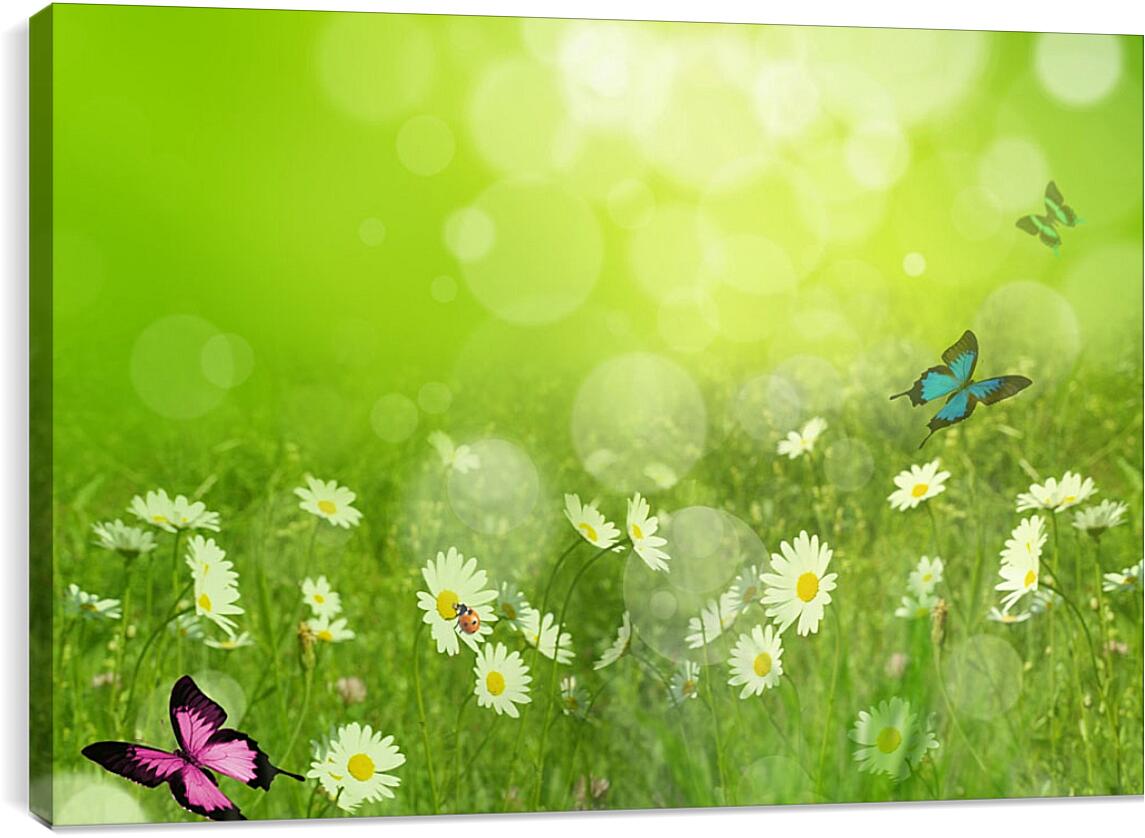 Постер и плакат - Бабочки на лугу