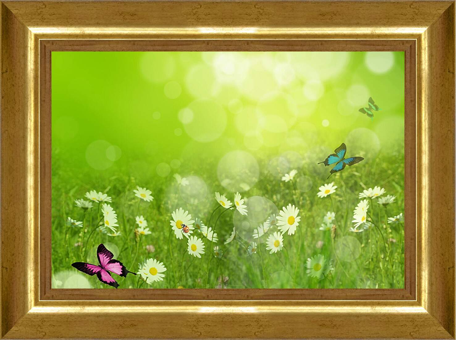 Картина в раме - Бабочки на лугу