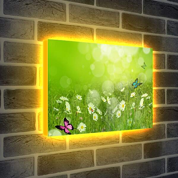Лайтбокс световая панель - Бабочки на лугу